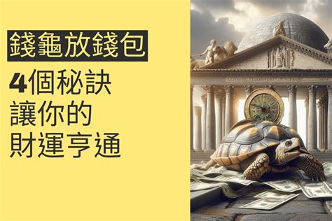 錢龜要放哪裡|【錢龜要放哪裡】錢龜財富密碼：擺放位置大公開！財。